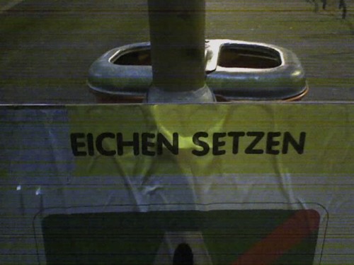 Eichen setzen